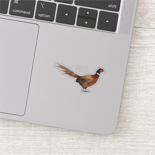 Ring-necked fazant bird cartoon sticker (Detail)