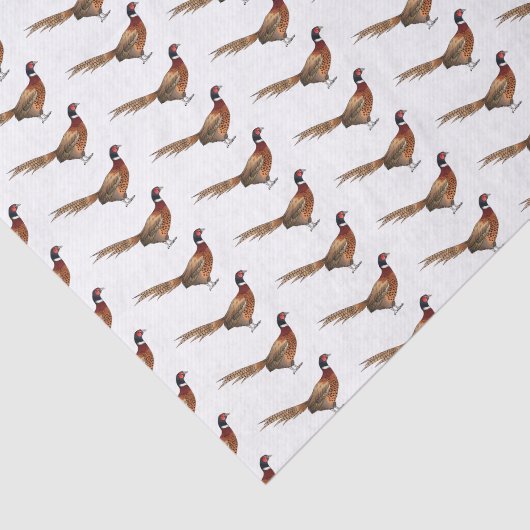 Ring-necked fazant bird cartoon tissuepapier (Detail)