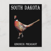 Ring-necked fazant briefkaart (Voorkant)