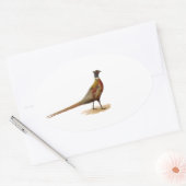 Ring-necked fazant ovale sticker (Envelop)