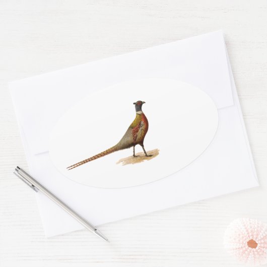 Ring-necked fazant ovale sticker (Envelop)
