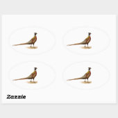 Ring-necked fazant ovale sticker (Vel)