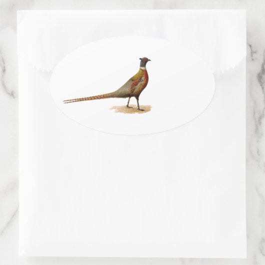 Ring-necked fazant ovale sticker (Tas)