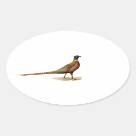 Ring-necked fazant ovale sticker
