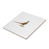 Ring-necked fazant tegeltje (Zijkant)