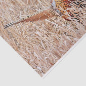 Ring-necked fazant tissuepapier (Detail)