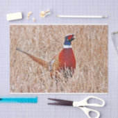 Ring-necked fazant tissuepapier (Craft)