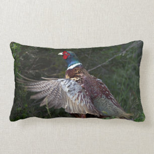 Ring Necked Pheasant Kussen
