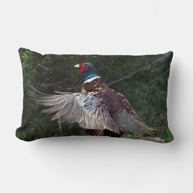 Ring Necked Pheasant Kussen (Voorkant)