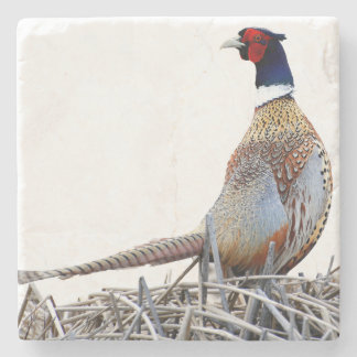 Ring-necked Pheasant Photo Stone Trivet Stenen Onderzetter