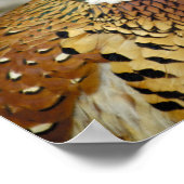 Ring Necked Pheasant Poster (Hoek)