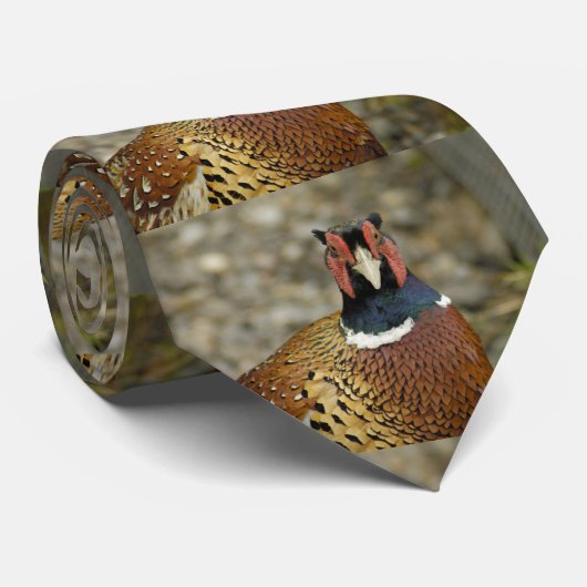 Ring Necked Pheasant Stropdas (Opgerold)