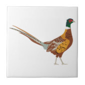 Ring-Necked Pheasant Tegeltje (Voorkant)