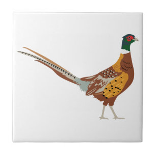 Ring-Necked Pheasant Tegeltje