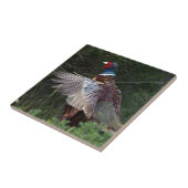 Ring Necked Pheasant Tegeltje (Zijkant)