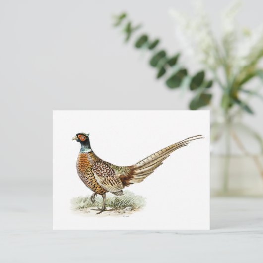 Ring-necked Pheasant van de broers von Wright Briefkaart (Staand voorkant)