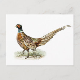 Ring-necked Pheasant van de broers von Wright Briefkaart