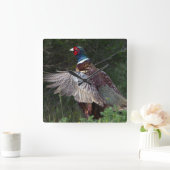 Ring Necked Pheasant Vierkante Klok (Huis)