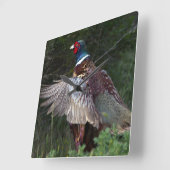 Ring Necked Pheasant Vierkante Klok (Hoek)