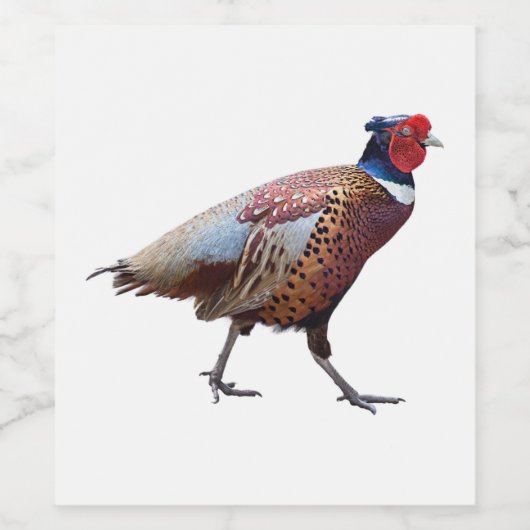 Ring Necked Pheasant Wijn Etiket (Enkel label)