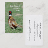 Ring Necked Pheasants foto Visitekaartje (Voorkant / Achterkant)