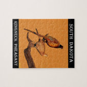 Ring-nek-fazant Legpuzzel (Horizontaal)