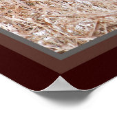 Ring-nek Poster van fazant (Hoek)