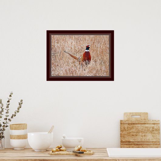 Ring-nek Poster van fazant (Keuken)