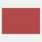 Ring of Holly Jesus Reden voor Seizoen Inpakpapier Vel (Voorkant 2)