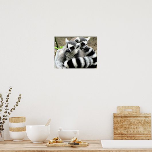 Ring-op-geleverde lemurs poster (Keuken)