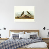 Ring Plover uit Audubon's Birds of America Canvas Afdruk (Insitu (Slaapkamer))