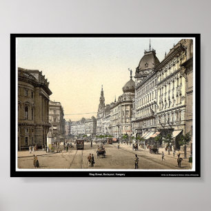 Ring Street, Boedapest, Hongarije Poster