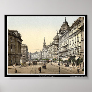 Ring Street, Boedapest, Hongarije Poster
