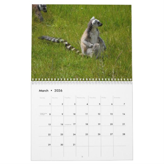 Ring Tail Lemurs Agenda 2016 Kalender (Mar 2026)