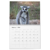 Ring Tail Lemurs Agenda 2016 Kalender (Feb 2026)