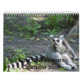 Ring Tail Lemurs Agenda 2016 Kalender (Hoes)
