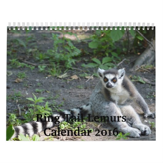 Ring Tail Lemurs Agenda 2016 Kalender (Hoes)
