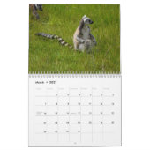 Ring Tail Lemurs Agenda 2016 Kalender (Mar 2027)