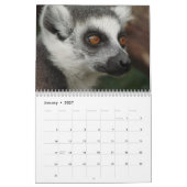 Ring Tail Lemurs Agenda 2016 Kalender (Jan 2027)