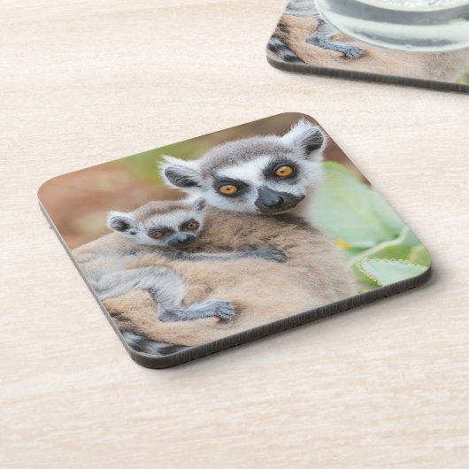 Ring-Tailed Lemur Baby op de rug van zijn moeder Bier Onderzetter (Linkerzijde)