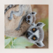 Ring-Tailed Lemur Baby op de rug van zijn moeder Legpuzzel (Horizontaal)