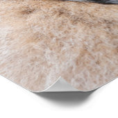 Ring-Tailed Lemur Baby op de rug van zijn moeder Poster (Hoek)