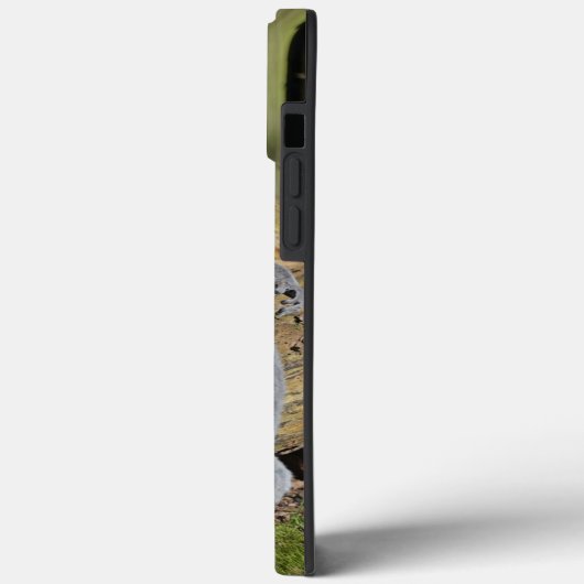 Ring Tailed Lemur Drusillas Park Case-Mate iPhone Case (Achterkant / Links)