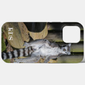 Ring Tailed Lemur Drusillas Park Case-Mate iPhone Case (Achterkant (horizontaal))