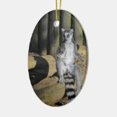 Ring Tailed Lemur Drusillas Park Keramisch Ornament (Links)