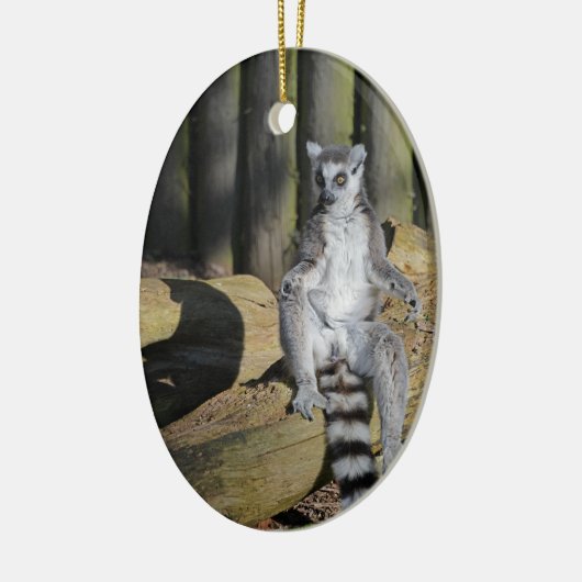 Ring Tailed Lemur Drusillas Park Keramisch Ornament (Links)