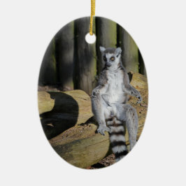 Ring Tailed Lemur Drusillas Park Keramisch Ornament