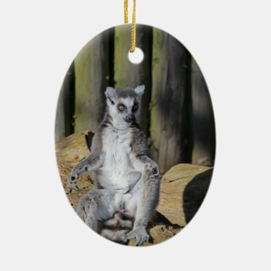 Ring Tailed Lemur Drusillas Park Keramisch Ornament (Achterkant)