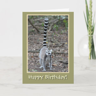 Ring-Tailed Lemur Happy Birthday Kaart