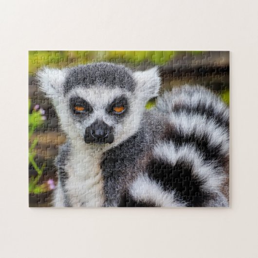 Ring Tailed Lemur, Jigzaag Puzzle Legpuzzel (Horizontaal)